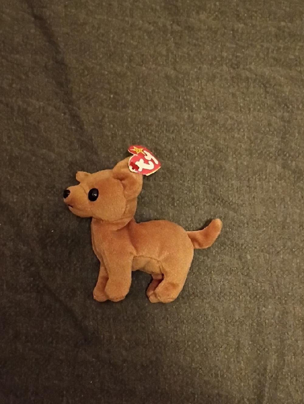 Ty Brown Chihuahua Plush